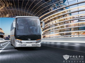 453.78億詮釋科技金龍 世界品牌大會揭示道路機動車品牌價值新高度