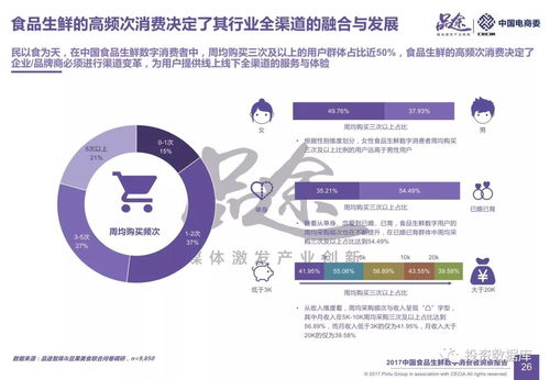 2017中國食品生鮮數字消費者洞察報告 數字內容制作服務